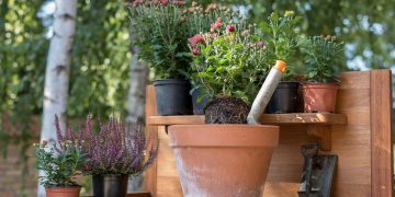 Green Guardians: Eco-Friendly Pest Control Solutions for a Sustainable Future