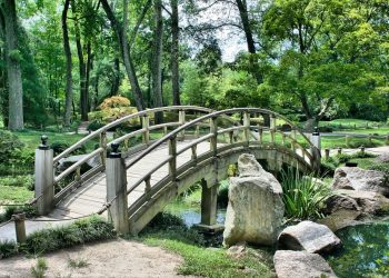 The Silent Killer: Understanding and Preventing Plant Diseases