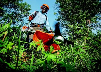 Mastering the Art of Indoor Gardening: Techniques for Thriving Plants