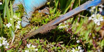 Digging Deep: Unearthing the Power of Spades and Shovels