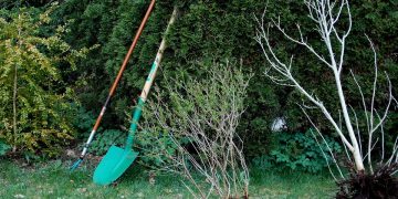 The Art of Gardening: Mastering the Tools of the Trade – Hoes and Rakes Demystified