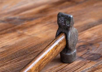 Pruning Shears: Trimming Your Garden to Perfection