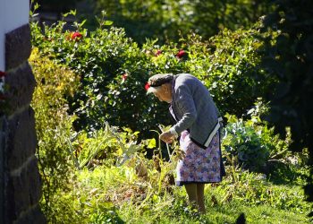 Sprouting Sustainability: A Guide to Water-Wise Gardening