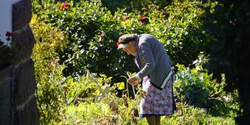 Sprouting Sustainability: A Guide to Water-Wise Gardening