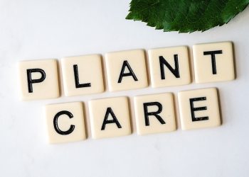 Growing Strong: The Importance of Plant Health Monitoring for Thriving Gardens