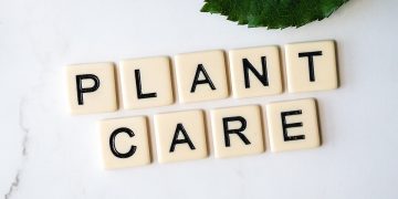 Growing Strong: The Importance of Plant Health Monitoring for Thriving Gardens