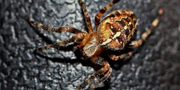 Revolutionizing Disease Treatment: A Breakthrough Approach to Healing