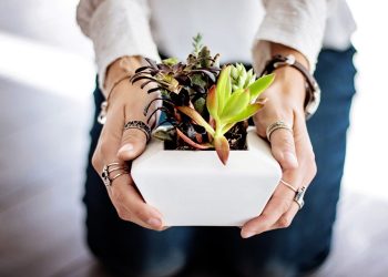 Grow Your Own Flavor: The Ultimate Guide to Creating an Indoor Herb Garden