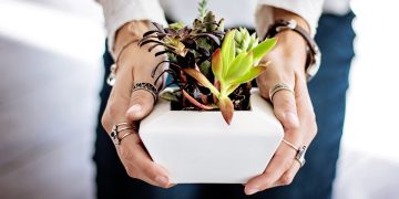 Grow Your Own Flavor: The Ultimate Guide to Creating an Indoor Herb Garden