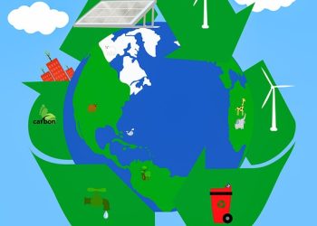 Growing Strong: Building a Climate-Resilient Garden for a Sustainable Future